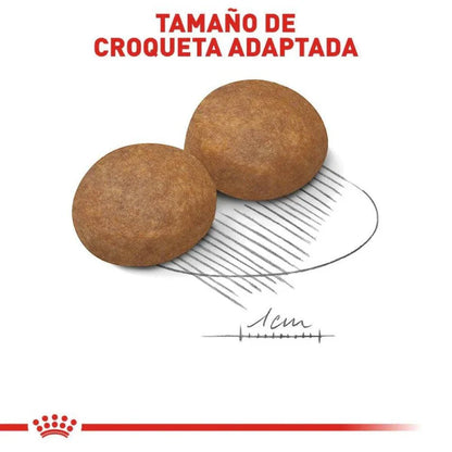 Royal Canin Perro Senior Raza Grande Maxi Adulto 5+ 13kg