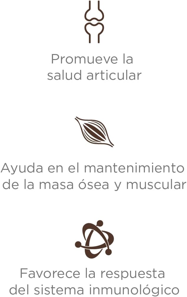 Nupec Alimento Perro Senior Mediana Y Grande