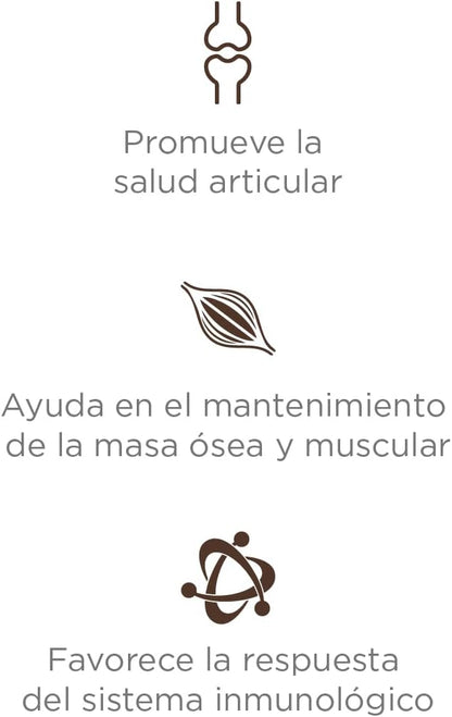 Nupec Alimento Perro Senior Mediana Y Grande