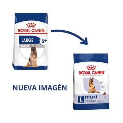 Royal Canin Perro Senior Raza Grande Maxi Adulto 5+ 13kg